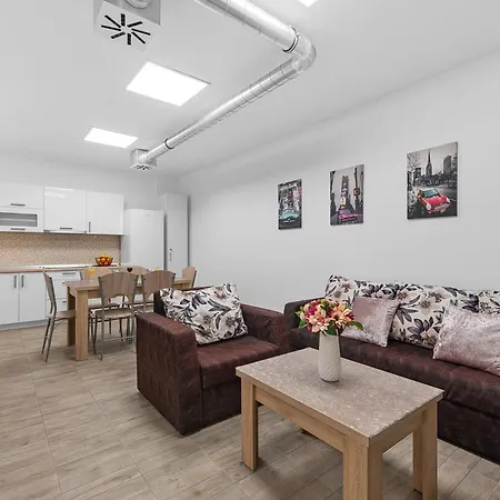 Shared In - Bunk Bed